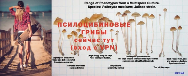 кокаин колумбия Арсеньев